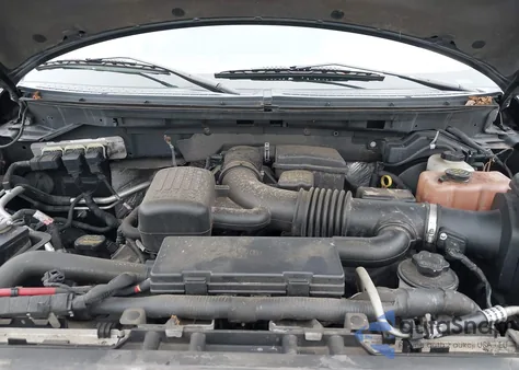 2010 Ford F-150 Fx4/Harley-Davidson/King Ranch/Lariat/Platinum/Xl/Xlt from USA, damaged, VIN 1FTFW1EV1AKE78372